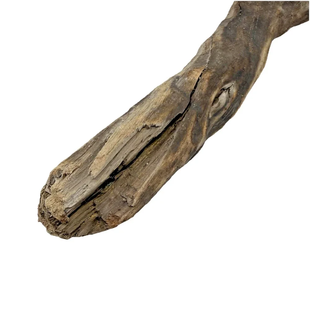 Bent California Driftwood with Burnt Patina & Natural Bend – Sculptural Wood